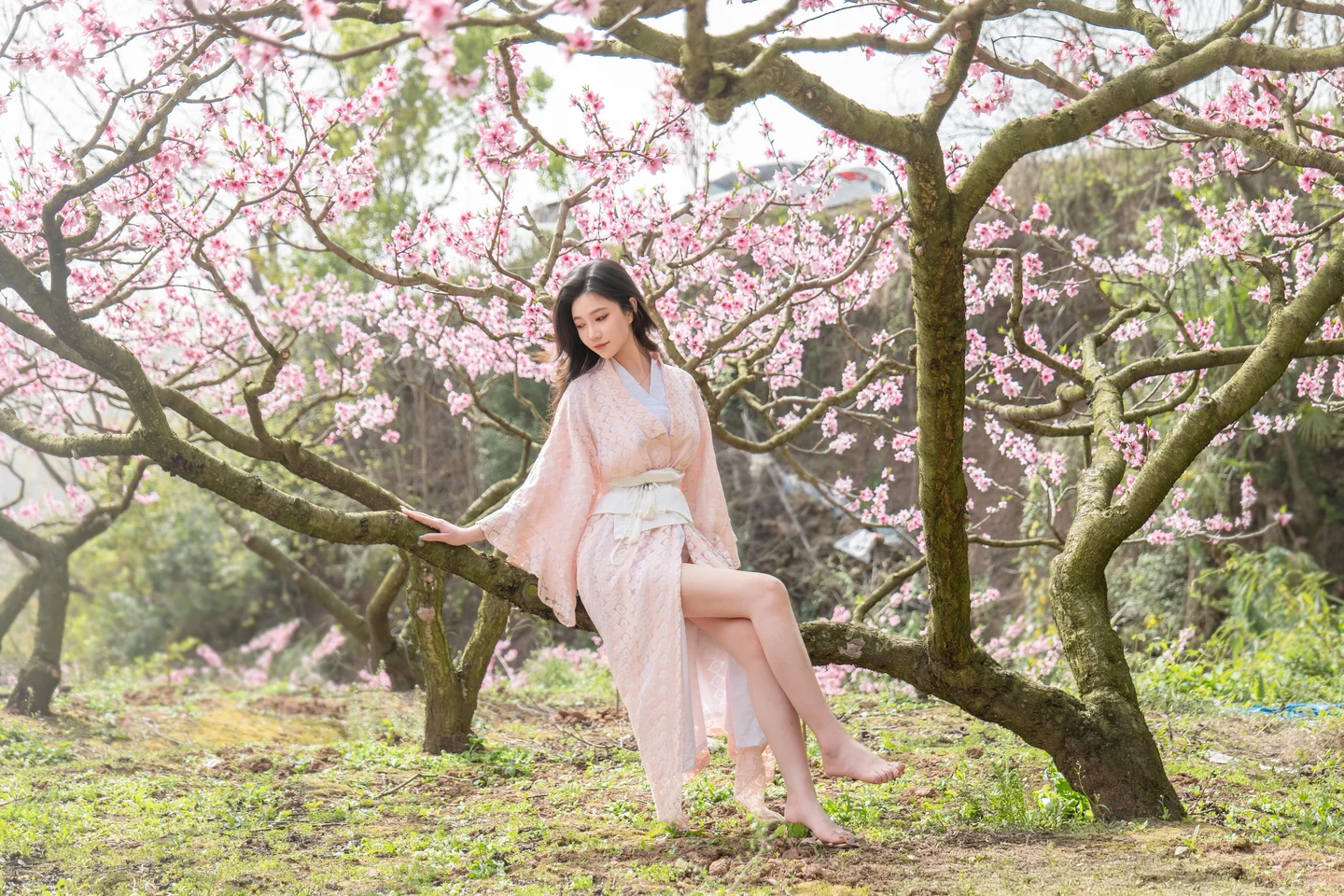 年年 - 漫花 [86P-595MB] tg@simisebaisi 【丝足阁】025.webp